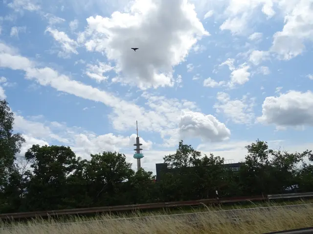 Vogel | Foto: Bildrechte: Stefania Herod