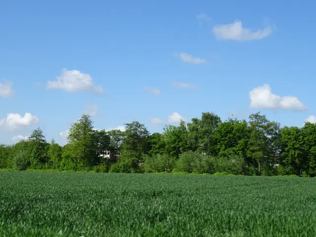 Natur Oberberg | Foto: Bildrechte: Stefania Herod