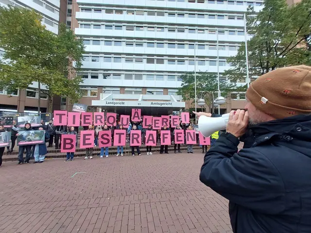 Vor dem Amtsgericht in Köln demonstrierte die Tierrechtsorganisation Aninova gegen Tierquälerei. Die Tierschützer hatten die skandalösen Missstände in dem Hürther Schlachthof öffentlich gemacht.  | Foto: Foto: Aninova