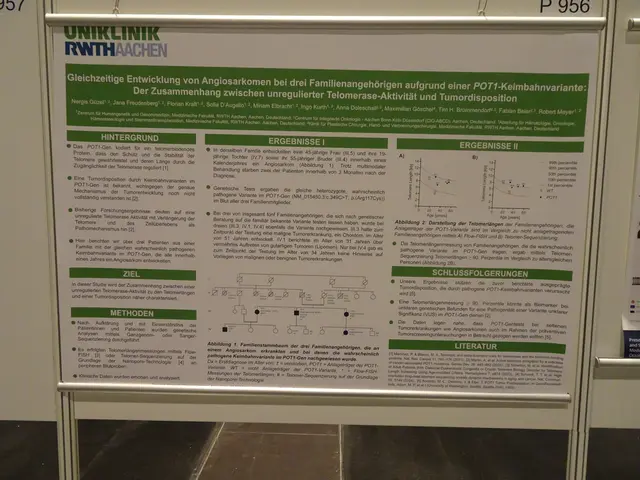 Zahlreiches Bildmaterial  | Foto: Bildrechte: Norbert Herod
