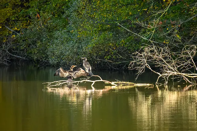 Foto: Elke B.