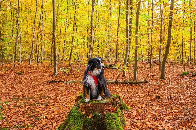 Foto: Elke B.