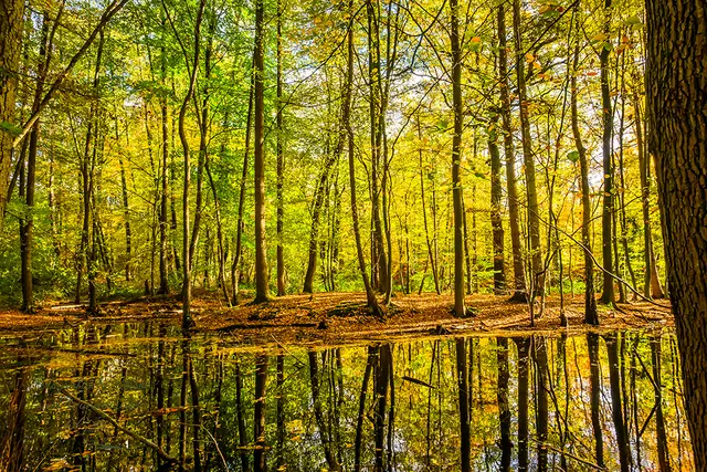 Foto: Elke B.