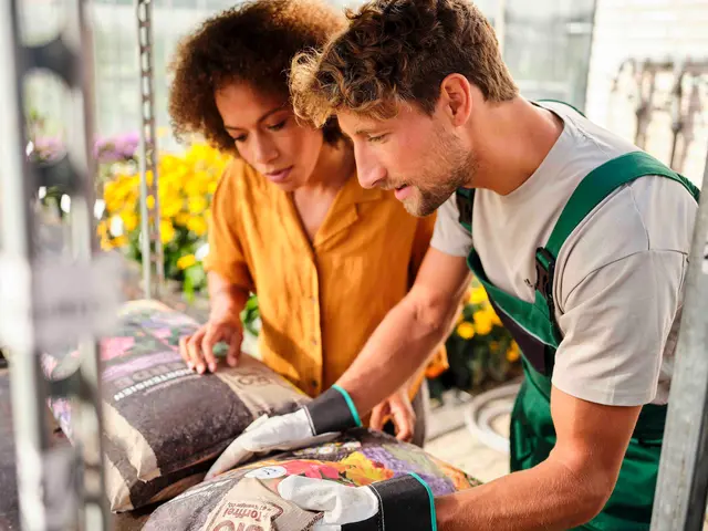 Verlängerung für die Gartensaison: Mit dem Anbau von Wintergemüse lässt sich auch in den kalten Monaten eine eigene Ernte einfahren. Foto: DJD/FNR/Dario Ronge