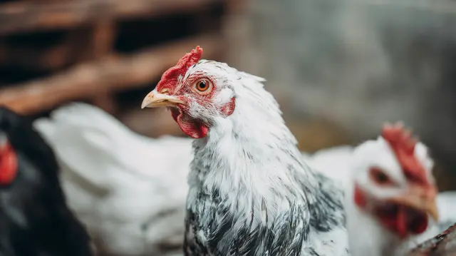 Foto: du@adobe-stock.com generiert mit KI