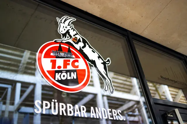 Foto: Tobias Arhelger/Stock.Adobe.com