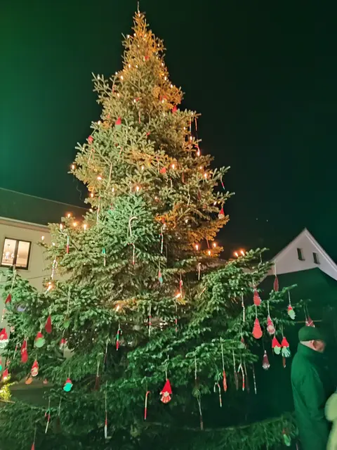 Ein wunderschöner Baum ziert den Rheidter Marktplatz. | Foto: Bracker