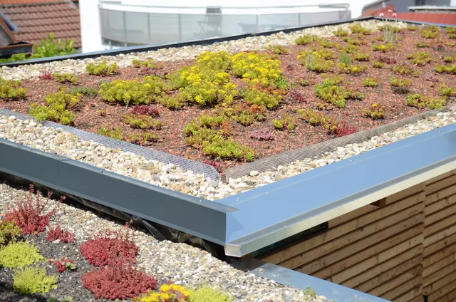 Aus dem Schutzdach wird ein Nutzdach: Mit einer Dachbegrünung oder Photovoltaik lässt sich mehr aus dem Oberstübchen machen. Foto: DJD/Paul Bauder