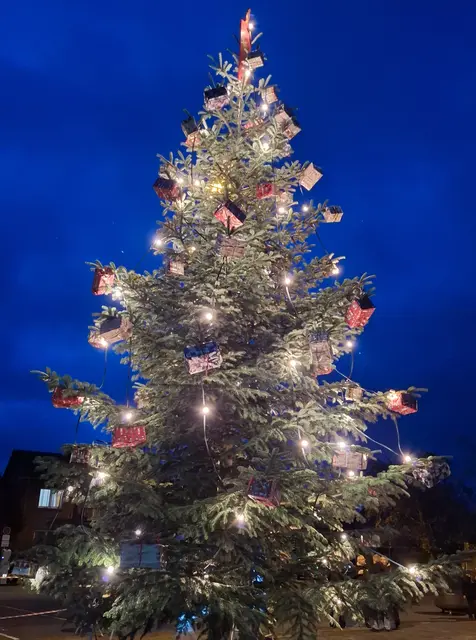 Dorfweihnachtsbaum 2025 | Foto: Männerverein