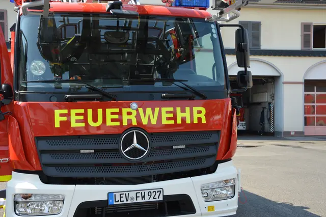 Foto: Bettina Willumat