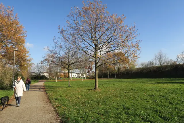 Ein Mekka für Skater soll in der Grünanlage an der Neuen Sandkaul entstehen. 
 | Foto: Hermans