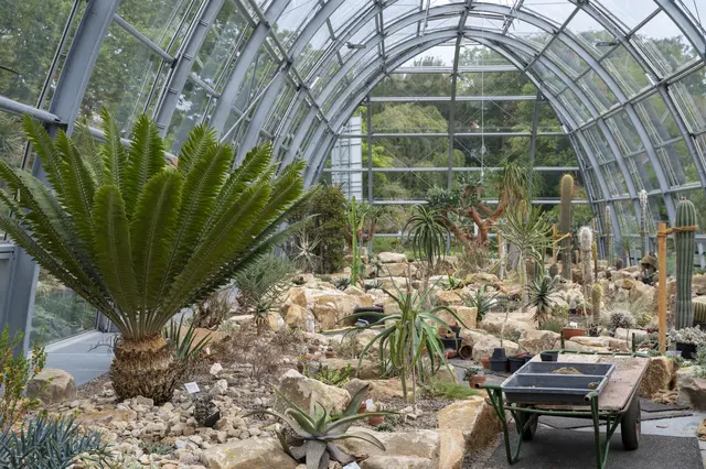 Das neue Schaugewächshaus im Botanischen Garten | Foto: Uwe Weiser