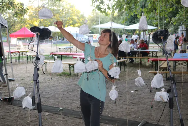 Foto: Abelha Supersónica