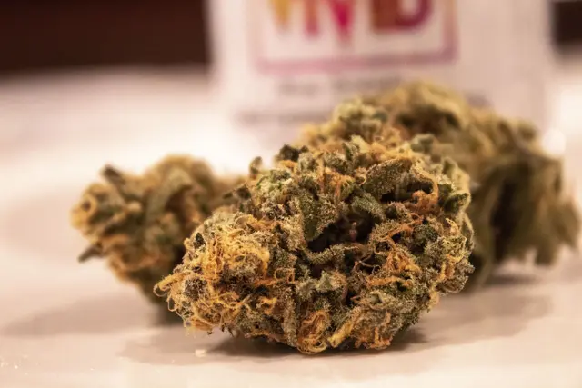 Symbolbild | Foto: Pixabay