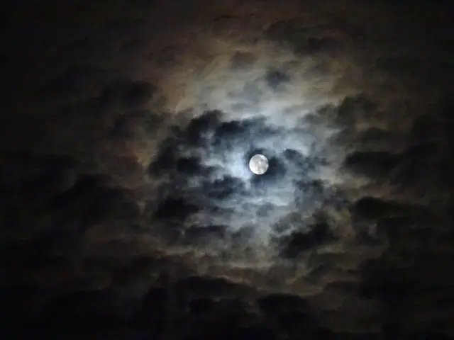 Wolfs-Mond 01 | Foto: Bildrechte: Stefania Herod