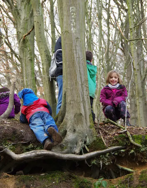 Spannende Waldwoche für Abenteurerinnen und Abenteurer. | Foto: Stadt Lohmar