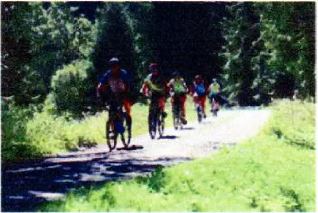 Foto: Foto: ChatGPT-Seniorenbeirat