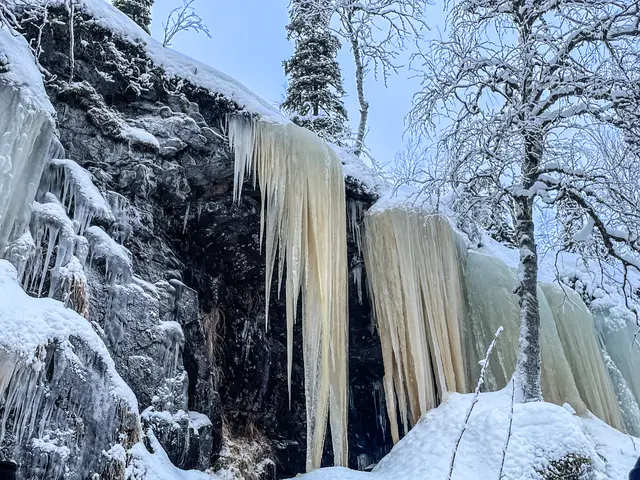 Gefrorener Wasserfall im Salla Wilderness Park | Foto: Martina Schäfer, Bad Honnef-Orscheid