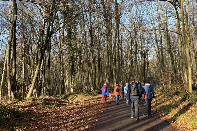 Foto: Fotos: TV Hangelar