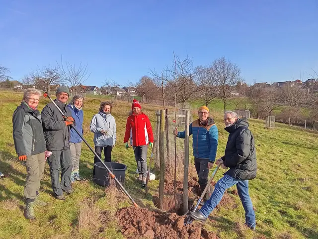 Mitglieder des Biologischen Arbeitskreises des RBN pflanzten auf der Obstwiese in Kürten-Bechen den „Roten Morgenstern“. Foto: RBN 