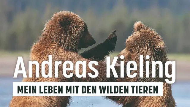 Foto: Fotos mit Genehmigung und Dank an Andreas Kieling, Tanzbrunnen Köln und Archiv