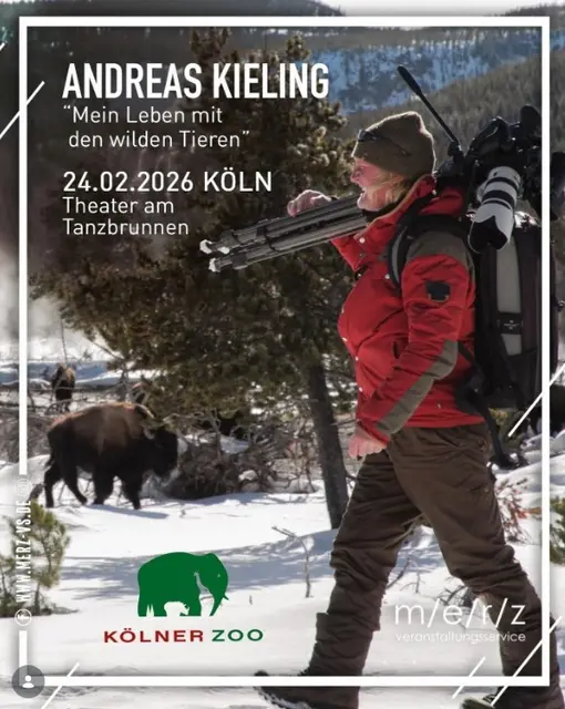 Foto: Fotos mit Genehmigung und Dank an Andreas Kieling, Tanzbrunnen Köln und Archiv