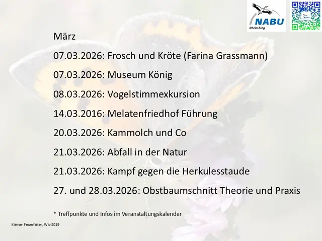 Aktivitäten im März 2026 | Foto: wic