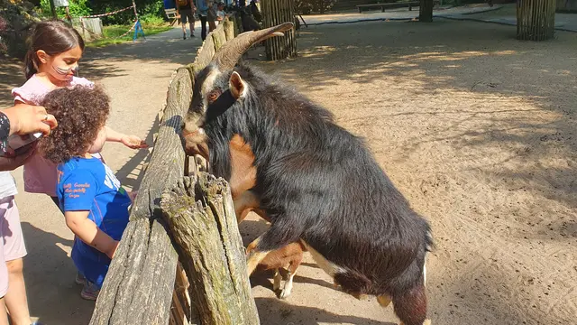 Der Wildpark Reuschenberg ist ganzjährig ein Anziehungsmagnet für Familien, Naturfreunde und Tierliebhaber. Das soll – trotz leicht gestiegener Eintrittspreise – weiterhin so bleiben. Foto: Gabi Knops-Feiler
