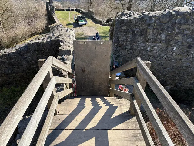 Foto: Firma Forster Garten- und Landschaftsbau