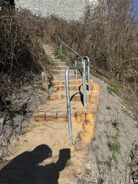 Die Treppenstufen zum Drachenfels-Plateau.  | Foto: VVS