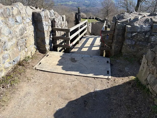 Foto: Firma Forster Garten- und Landschaftsbau