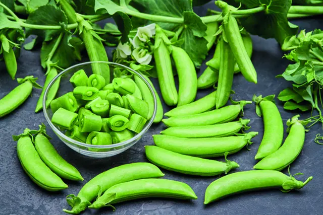 Pflanzliche Proteinpower liefern Gemüse wie die köstliche Zuckererbse Delikett. Foto: Kiepenkerl/akz-o