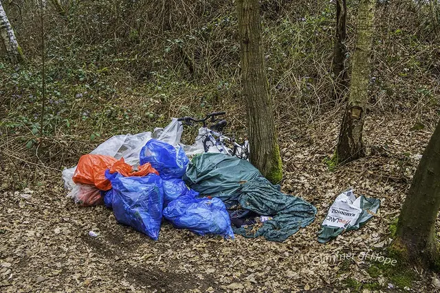 Liegt da seit Wochen | Foto: Elke Bitzer
