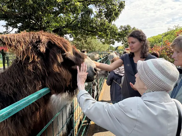„Bewegen, begegnen, berühren“ ist wichtig für die Gesundheit und das Thema einer Fachtagung für pflegende Angehörige am 24. April 2026 im Bergheimer Kreishaus | Foto: Andrea Floß