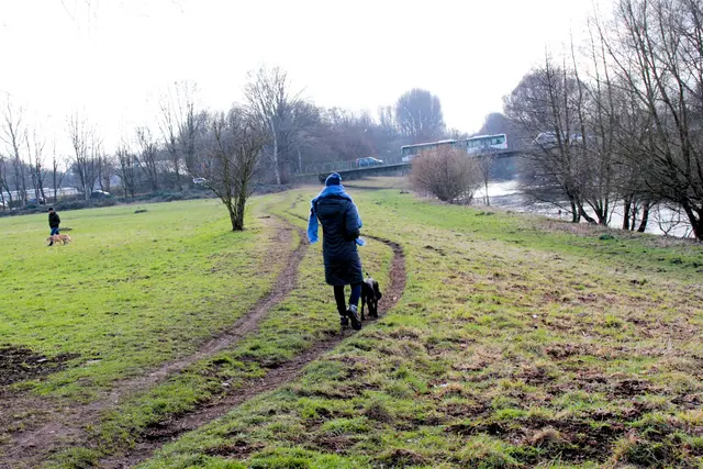 Der geplante Ausbau des Wupperwegs zwischen Schusterinsel und Tierheim rückt möglicherweise näher. Foto: Gabi Knops-Feiler 