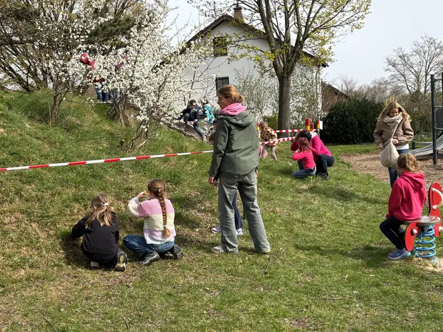 Faszinierendes Naturschauspiel: Die Frühlings-Seidenbienen umschwärmen den Rutschehügel, weil sie hier ideale Bedingungen finden  | Foto: Andrea Floß