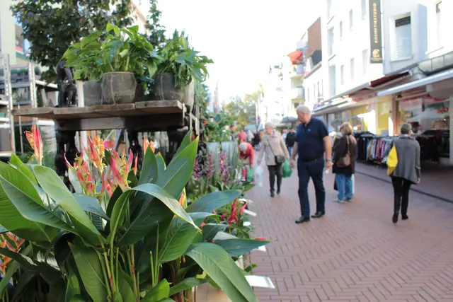 Beim Ostermarkt der Aktionsgemeinschaft Opladen gibt es ein Wiedersehen mit dem beliebten niederländischen Aussteller „Landgoed Plant“, der mit ausgefallener Pflanzendeko lockt. Foto: Gabi Knops-Feiler 