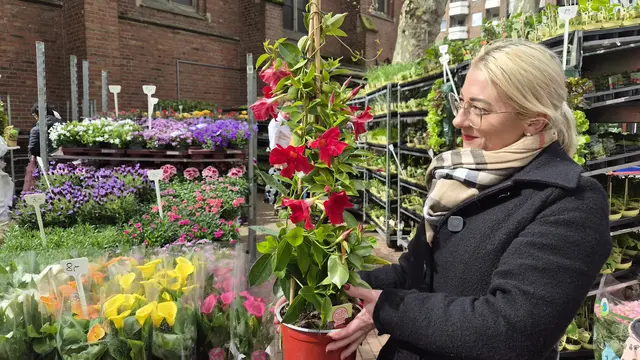 Mit seinem vielseitigen Angebot lockte der Opladener Ostermarkt zahlreiche Besucher in die Fußgängerzone. Foto: Gabi Knops-Feiler 