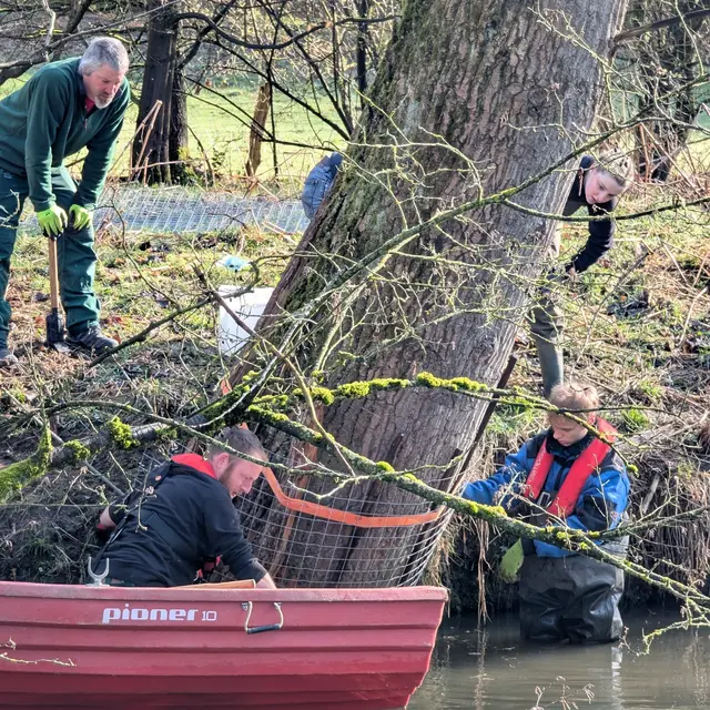 Mit der Anbringung des ersten Verbissschutzes und dem Aufstellen neuer Schilder wird ein weiterer Schritt unternommen, um das Zusammenspiel von Mensch und Natur verantwortungsvoll zu gestalten und gleichzeitig den Lebensraum der Biber langfristig zu erhalten. Foto: Stadt Rösrath