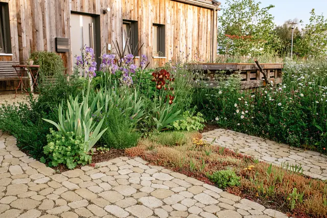 Wer beim Pflastern clever plant, schafft Lebensraum, spart Pflege und tut etwas fürs Klima. Foto: DJD/braun-steine/Benedikt Walther