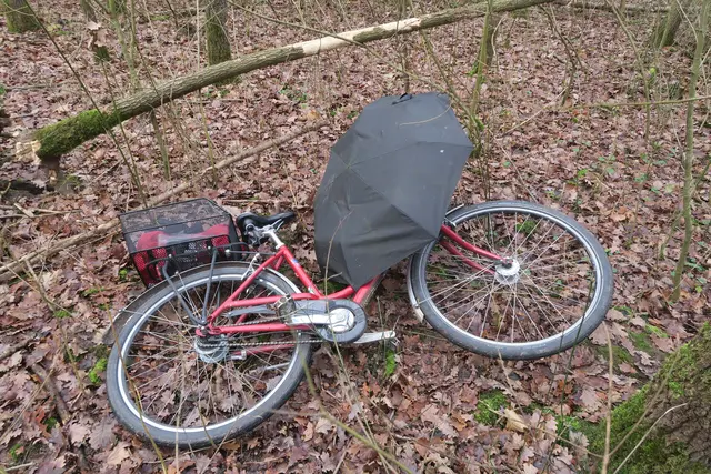 Muss nicht sein: Auf illegale Mülldeponien stößt der Naturschutzwart im Stadtwald immer noch.  | Foto: Hermans