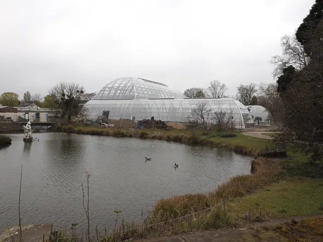 Die neuen Schaugewächshäuser der Flora waren außen bereits 2022 fertiggestellt.  | Foto: Max Grönert