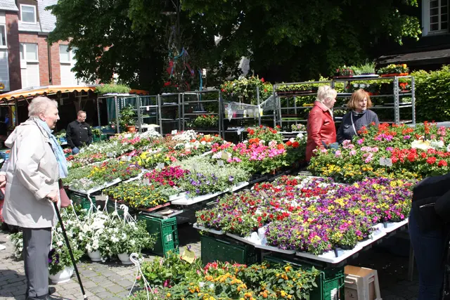 Blütenpracht mitten in der Schlebuscher Innenstadt. Foto: Archiv/LAG