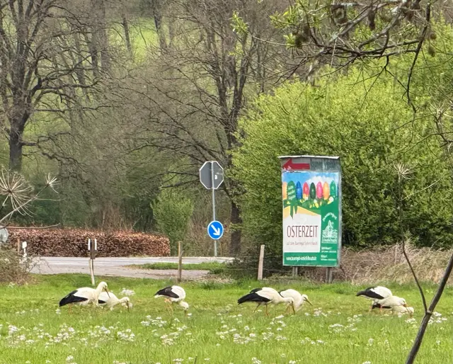 Foto: Margarethe Limbach