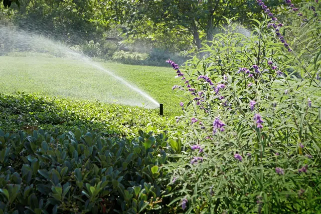 Sparsam und effizient: Eine automatische Bewässerung nimmt Gartenbesitzern viel Arbeit ab. Foto: DJD/Rainpro