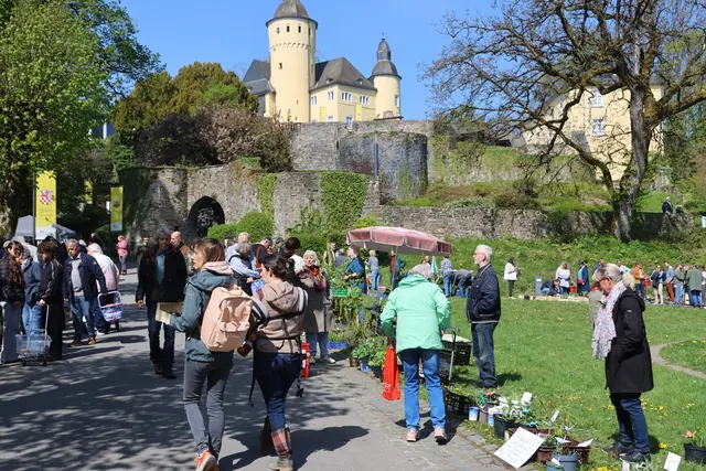 Reger Besuch bei strahlendem Frühlingswetter  | Foto: Michael Kupper
