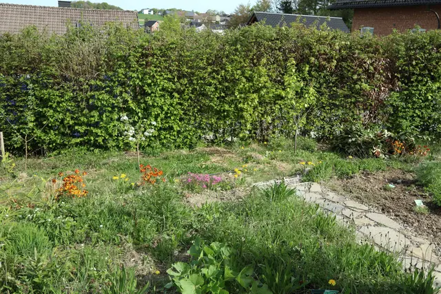 Den Garten "öffnen" und Durchgänge schaffen | Foto: OBK