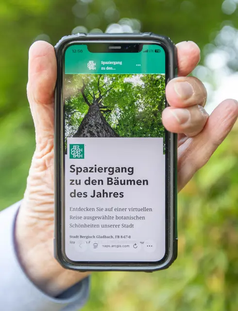 Mit der Neupflanzung stellte die Stadt in Kooperation mit dem SDW-Rhein-Berg eine neue Webseite mit zahlreichen „Bäumen des Jahres“ auf dem Stadtgebiet vor. Foto: Axel König