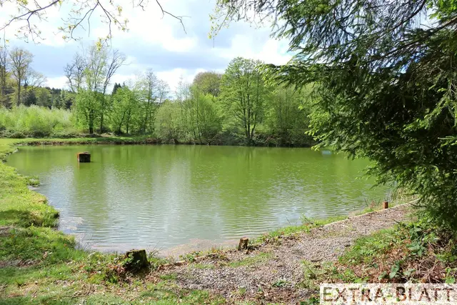 Foto: Steimel