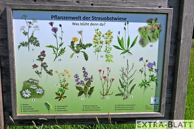 Foto: Steimel